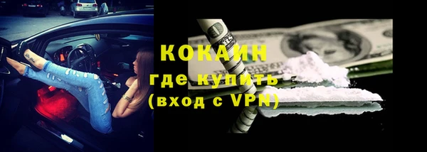 мет Алексин