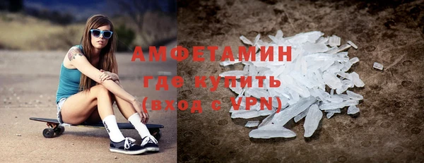 мет Алексин