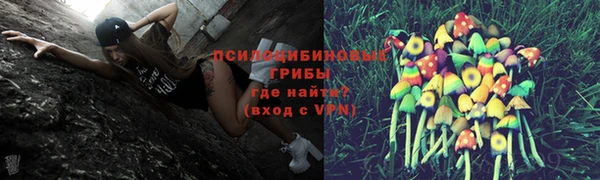 мет Алексин