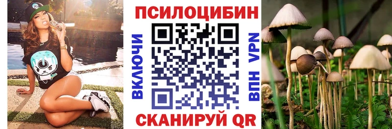как найти закладки  Пролетарск  сайты даркнета телеграм  Псилоцибиновые грибы Psilocybine cubensis 